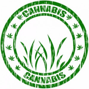cannabis stamp: CannaSensation Rule & Legalization blog